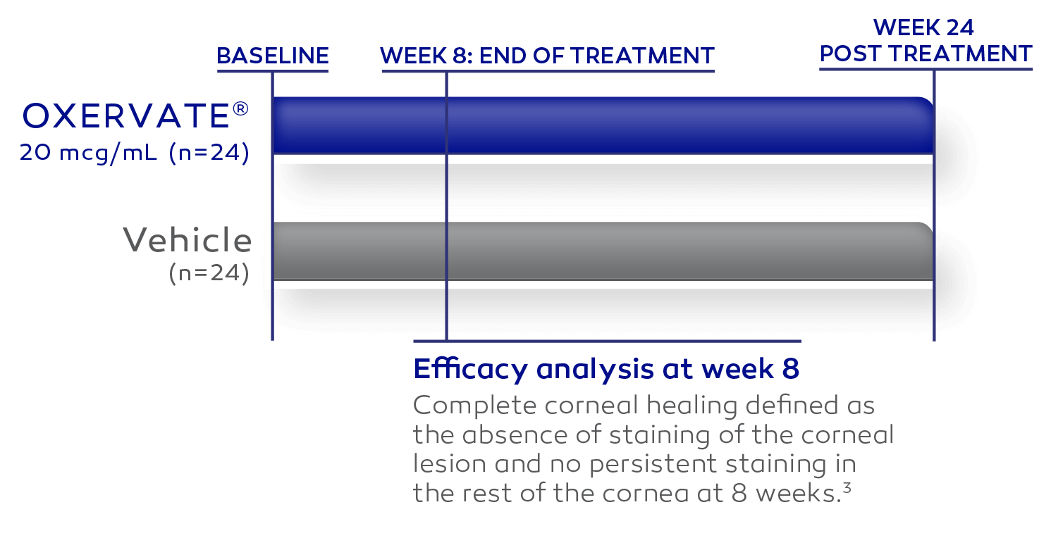 8-week OXERVATE vs vehicle timeline with efficacy analysis at week 8 and follow-up at week 24